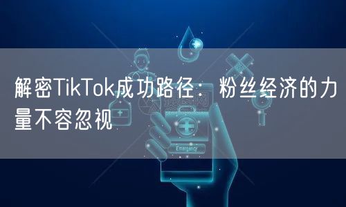 解密TikTok成功路径：粉丝经济的力量不容忽视