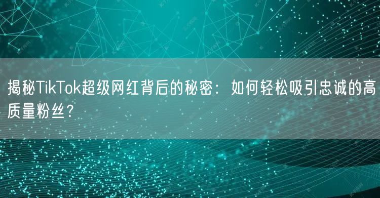揭秘TikTok超级网红背后的秘密：如何轻松吸引忠诚的高质量粉丝？