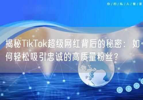 揭秘TikTok超级网红背后的秘密：如何轻松吸引忠诚的高质量粉丝？