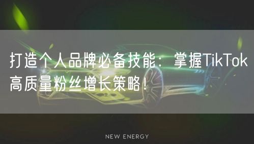 打造个人品牌必备技能：掌握TikTok高质量粉丝增长策略！