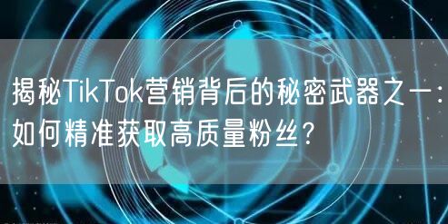 揭秘TikTok营销背后的秘密武器之一：如何精准获取高质量粉丝？