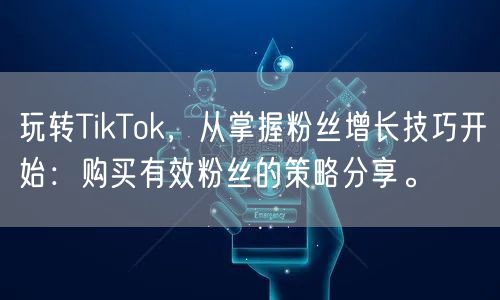 玩转TikTok，从掌握粉丝增长技巧开始：购买有效粉丝的策略分享。