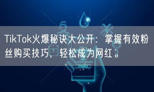 TikTok火爆秘诀大公开：掌握有效粉丝购买技巧，轻松成为网红。