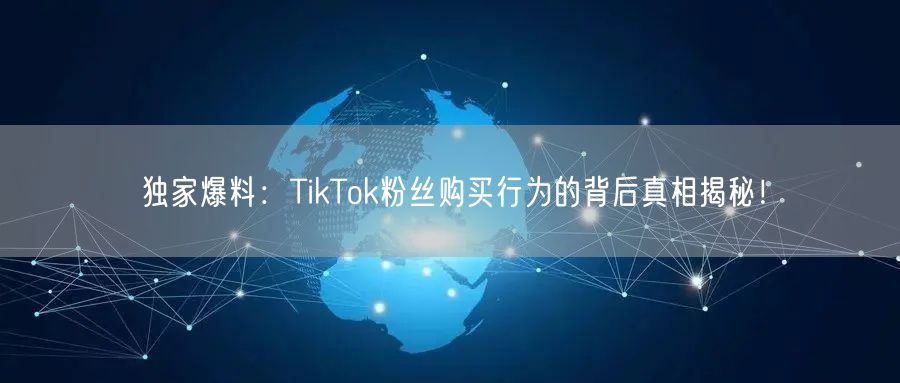 独家爆料：TikTok粉丝购买行为的背后真相揭秘！