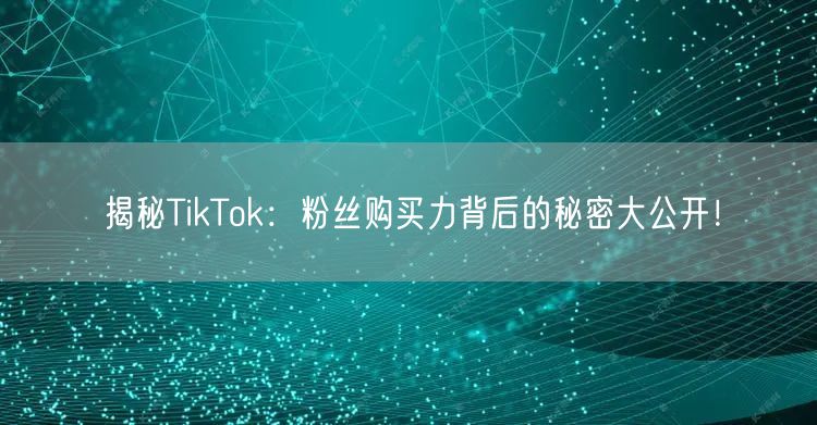 揭秘TikTok：粉丝购买力背后的秘密大公开！