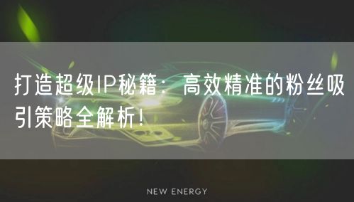 打造超级IP秘籍：高效精准的粉丝吸引策略全解析！