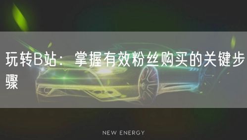 玩转B站：掌握有效粉丝购买的关键步骤