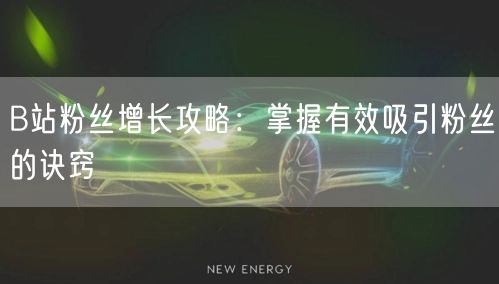 B站粉丝增长攻略：掌握有效吸引粉丝的诀窍