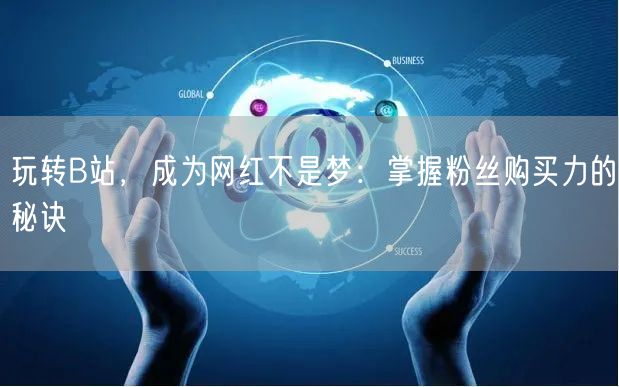 玩转B站，成为网红不是梦：掌握粉丝购买力的秘诀