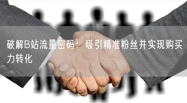 破解B站流量密码：吸引精准粉丝并实现购买力转化