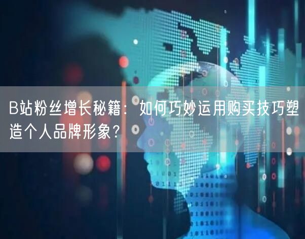 B站粉丝增长秘籍：如何巧妙运用购买技巧塑造个人品牌形象？