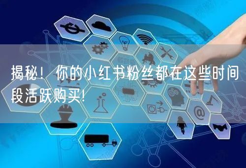 揭秘！你的小红书粉丝都在这些时间段活跃购买!