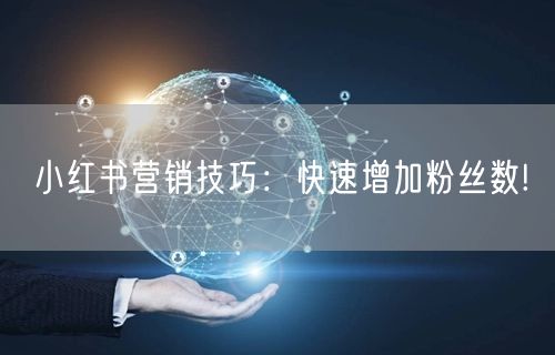 小红书营销技巧：快速增加粉丝数!