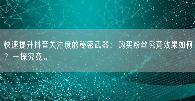快速提升抖音关注度的秘密武器：购买粉丝究竟效果如何？一探究竟。