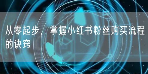 从零起步，掌握小红书粉丝购买流程的诀窍