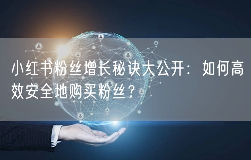 小红书粉丝增长秘诀大公开：如何高效安全地购买粉丝？