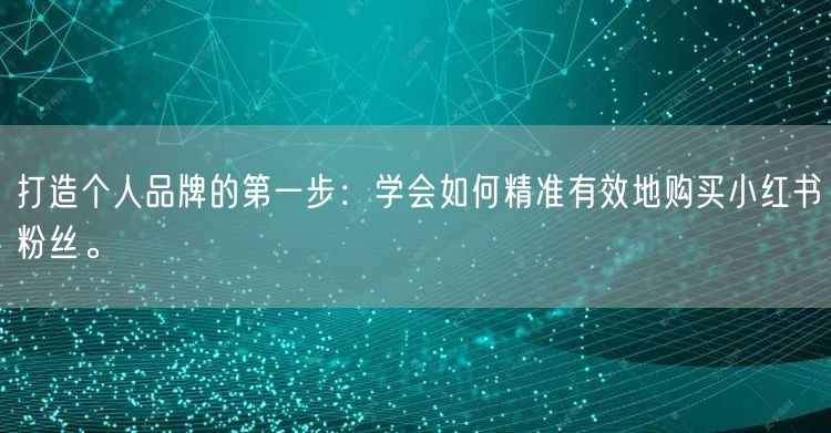 打造个人品牌的第一步：学会如何精准有效地购买小红书粉丝。
