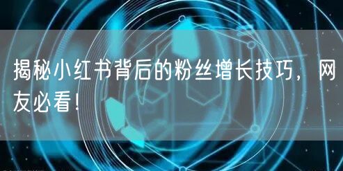 揭秘小红书背后的粉丝增长技巧，网友必看！