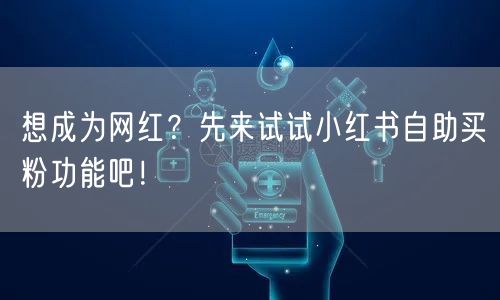 想成为网红？先来试试小红书自助买粉功能吧！