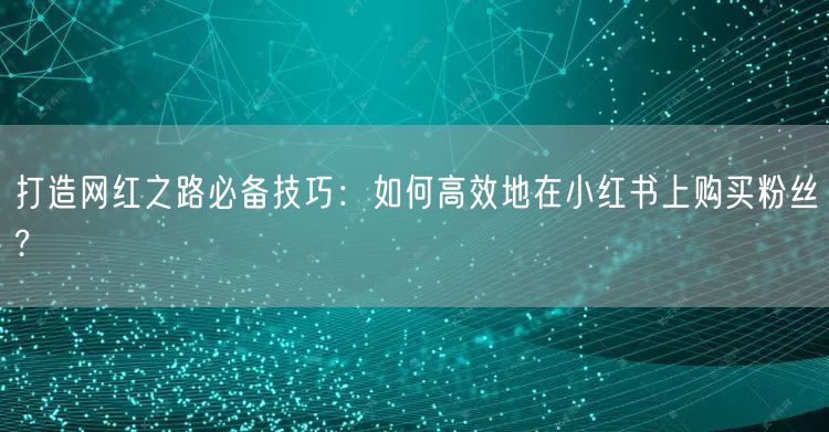 打造网红之路必备技巧：如何高效地在小红书上购买粉丝?