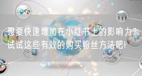 想要快速增加在小红书上的影响力？试试这些有效的购买粉丝方法吧!