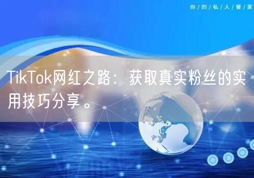 TikTok网红之路：获取真实粉丝的实用技巧分享。